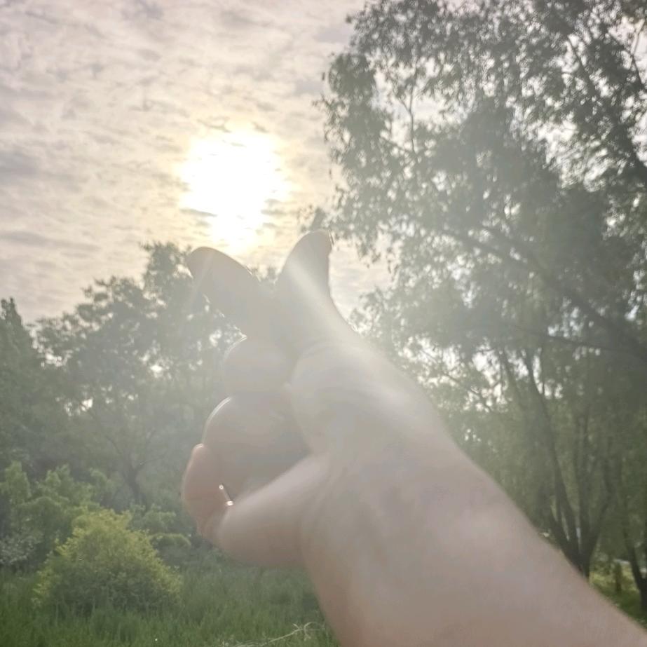 💞凤儿💞