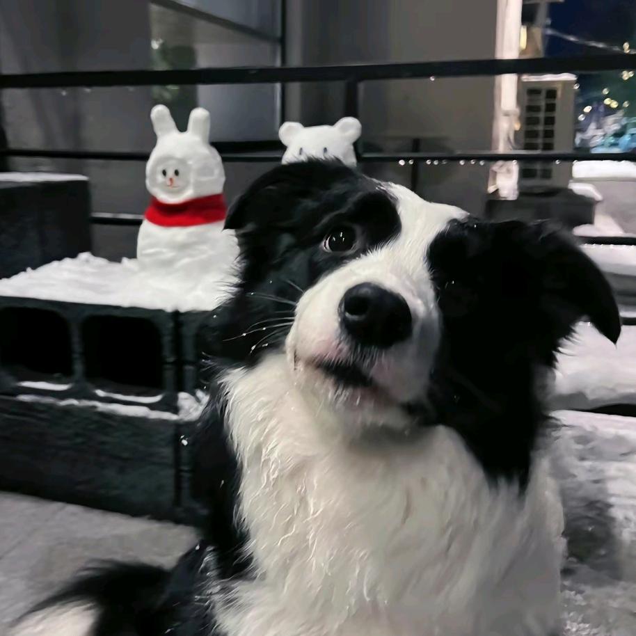 卡🍕欧啦🌴泥泥泥泥