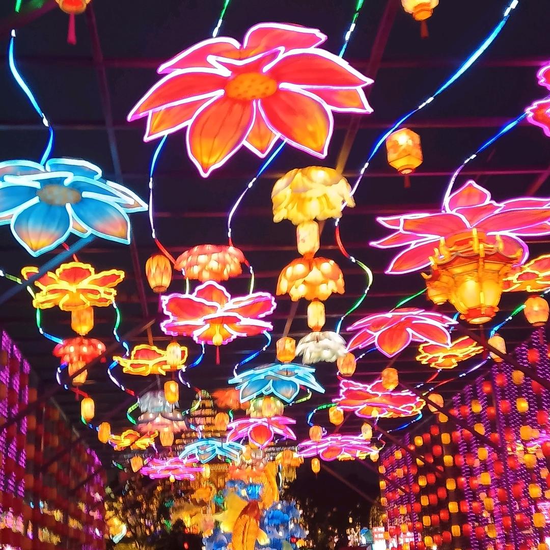 胤然自得头像