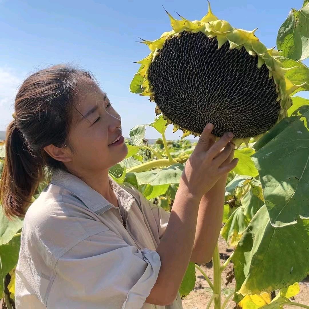 固阳养鸡蕾蕾