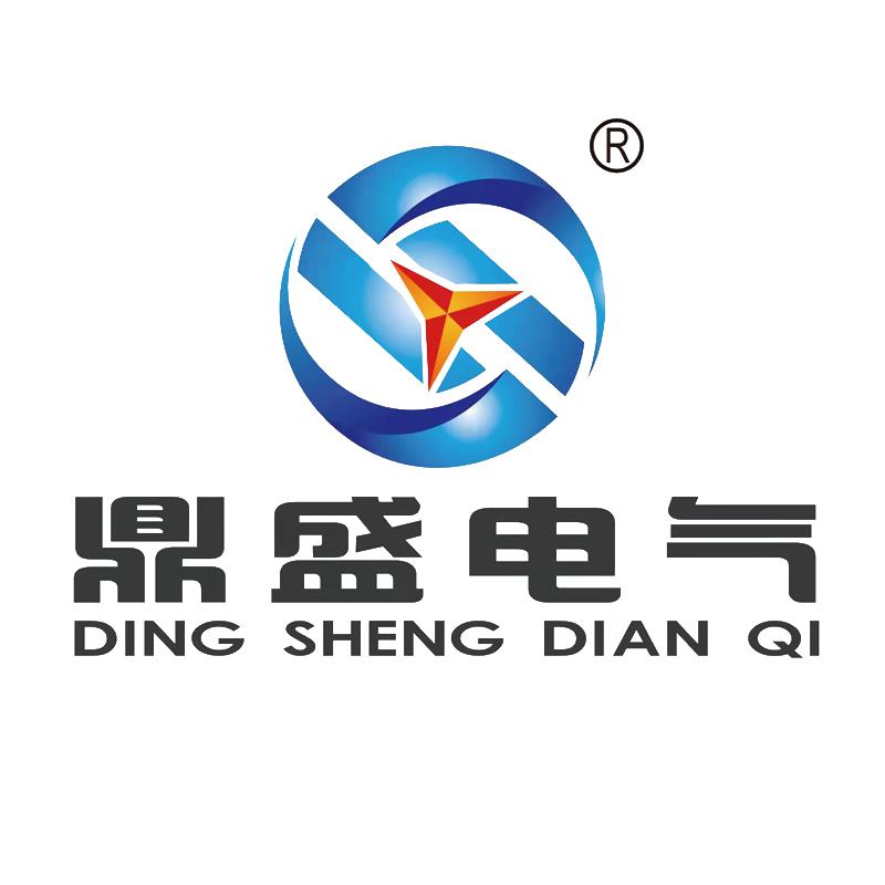 山东鼎盛电气设备有限公司