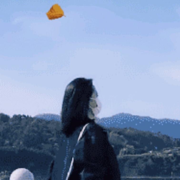 平凡姐