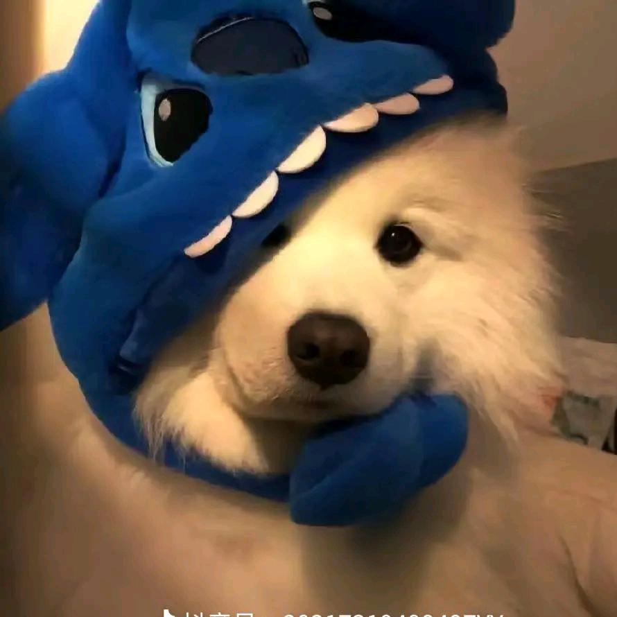 没事