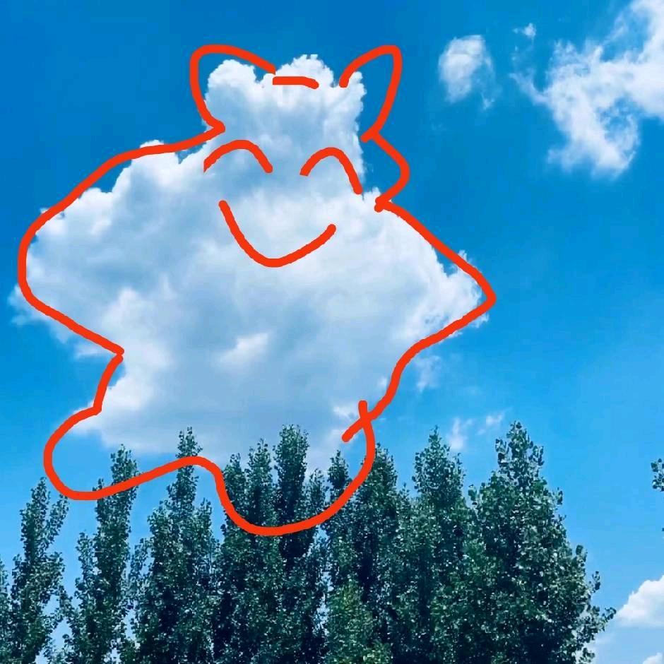 晨曦06