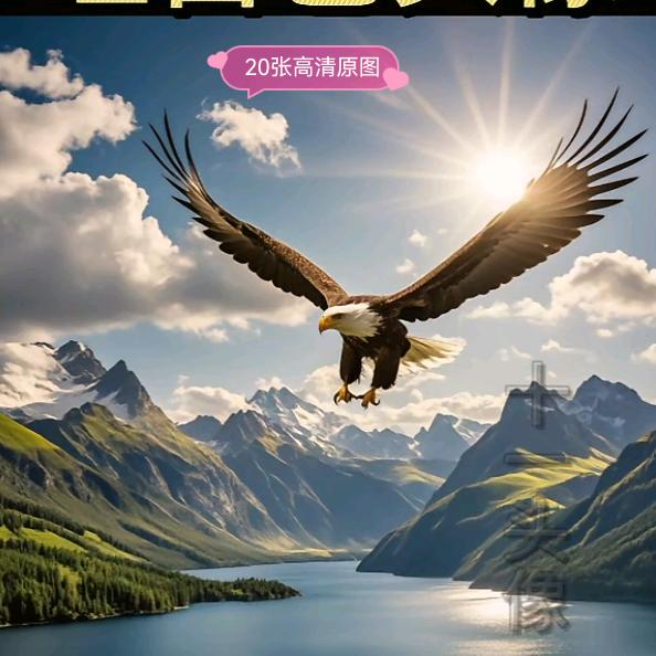 海哥