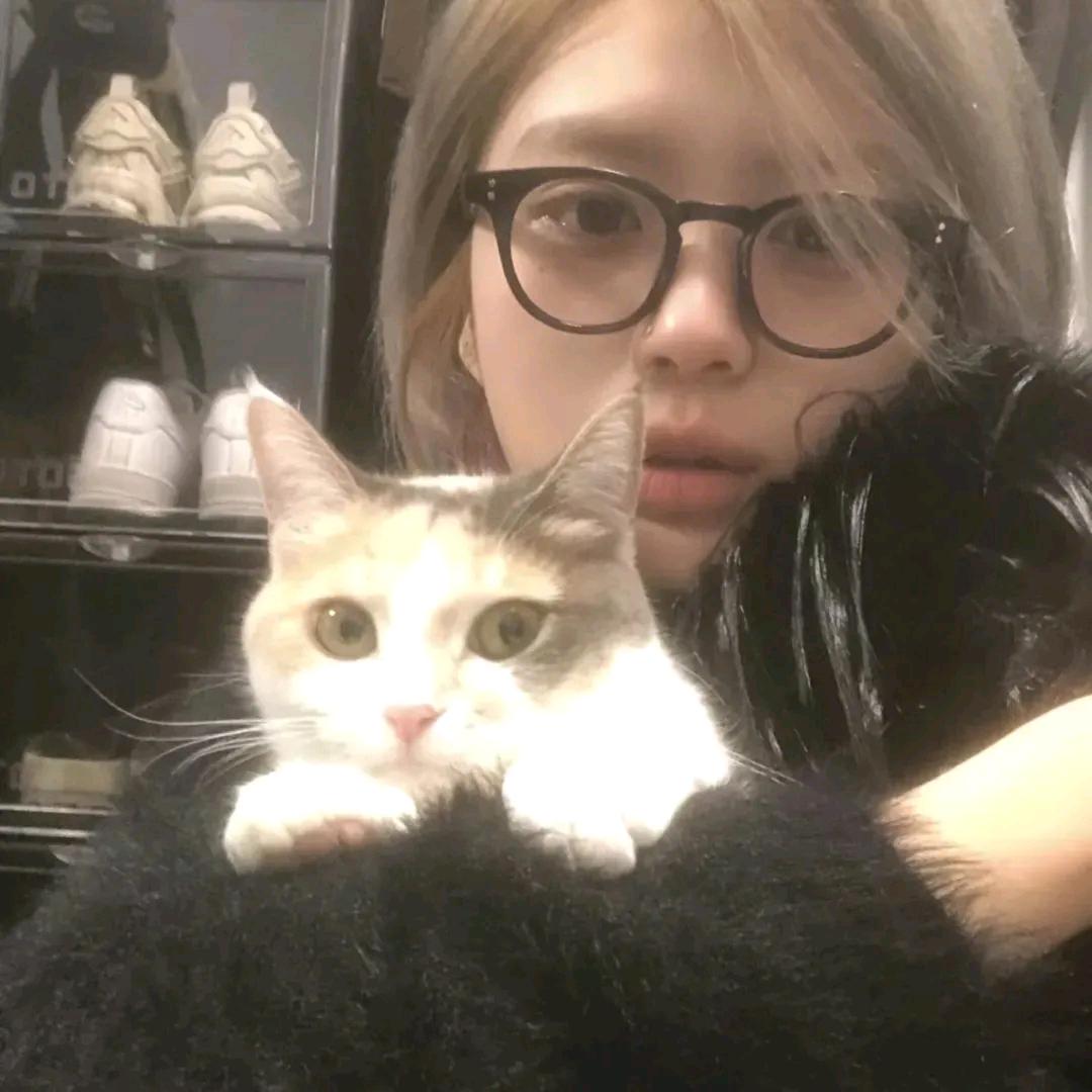 顺遂