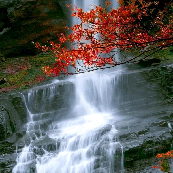 小阳姐（已管理30巾）