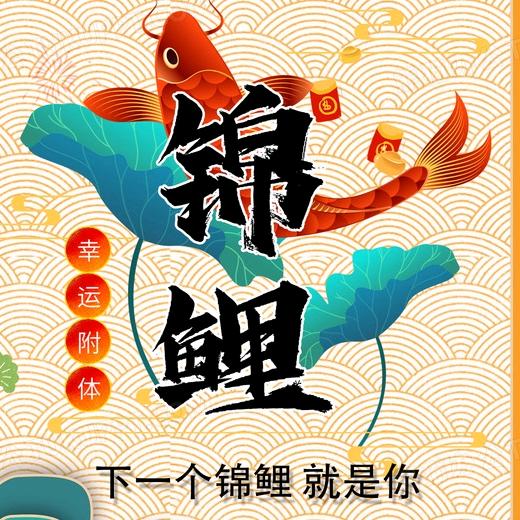 鱼大大锦鲤金鱼养殖场