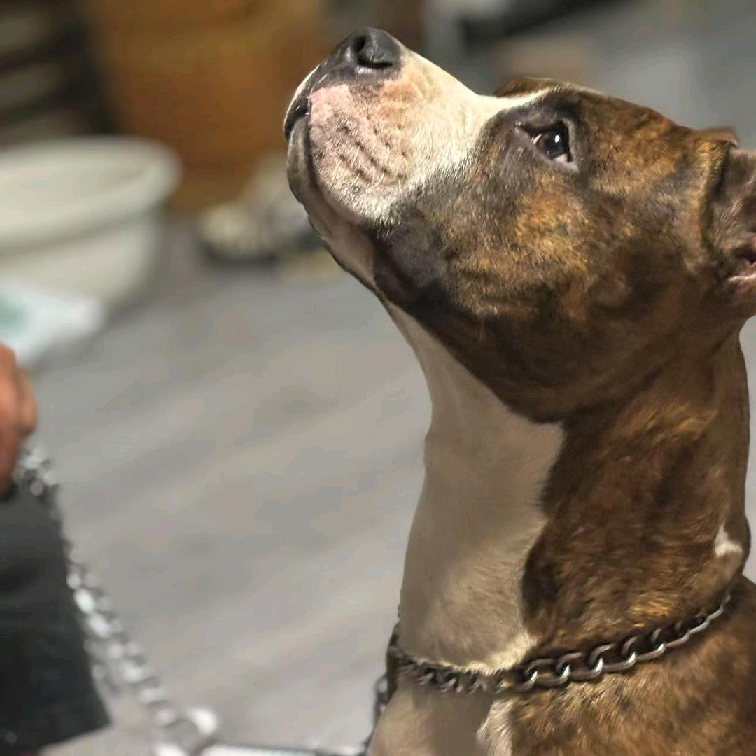 ღ᭄醉酒ོꦿ࿐