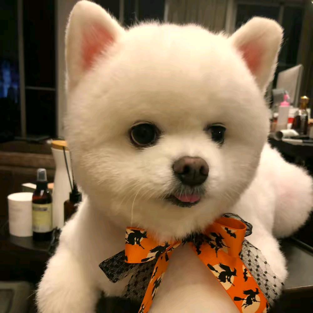 💞ꦿ贝贝🌻💙