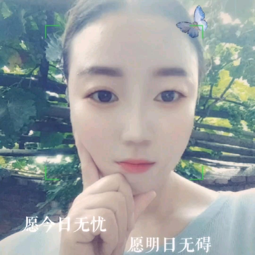 飘香玫瑰