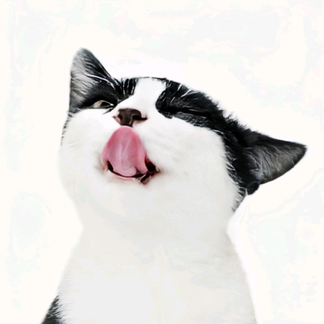 粽