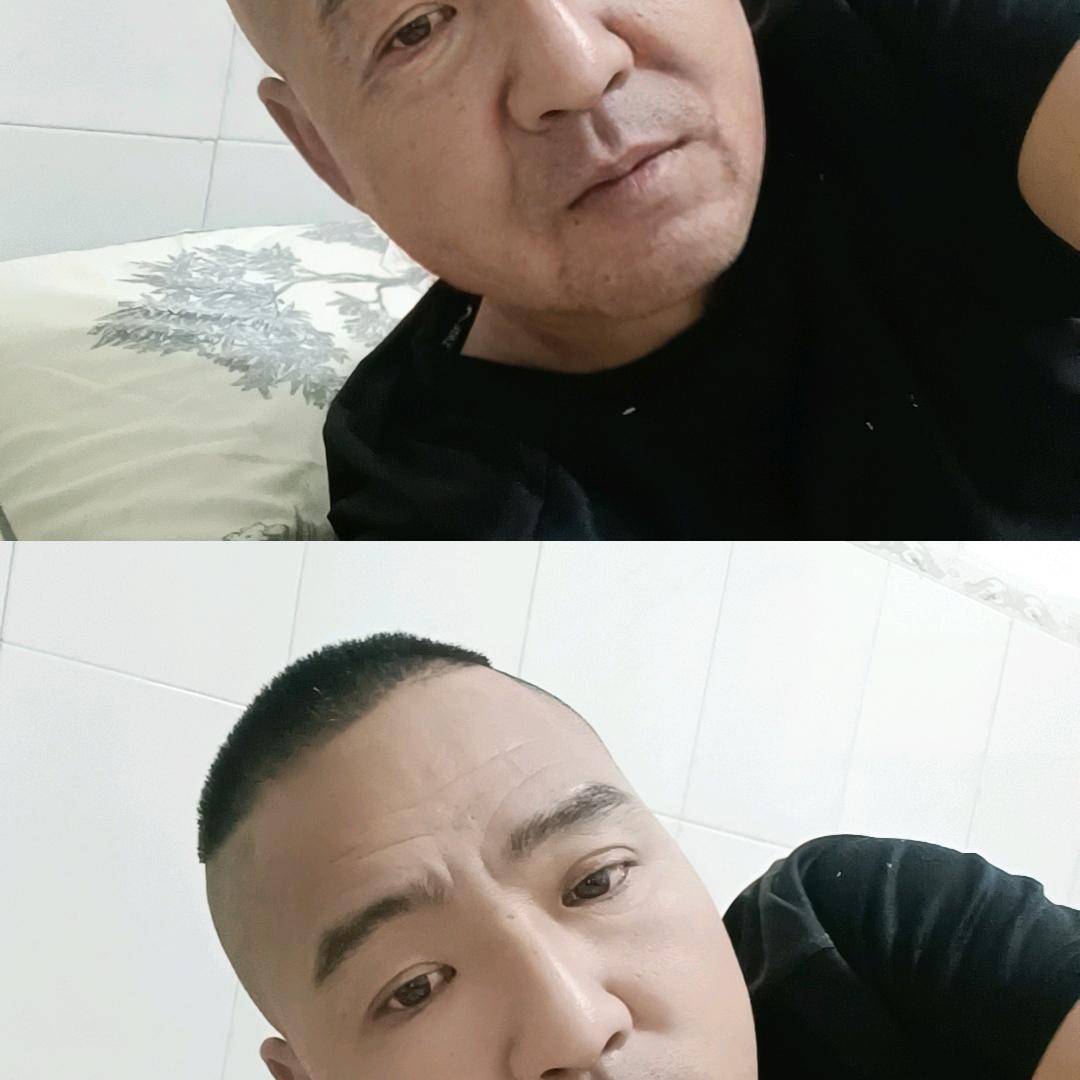 毒狼