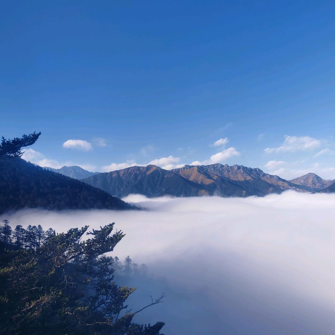 哇噻哥（江二哥猪饲料销售）工厂直供