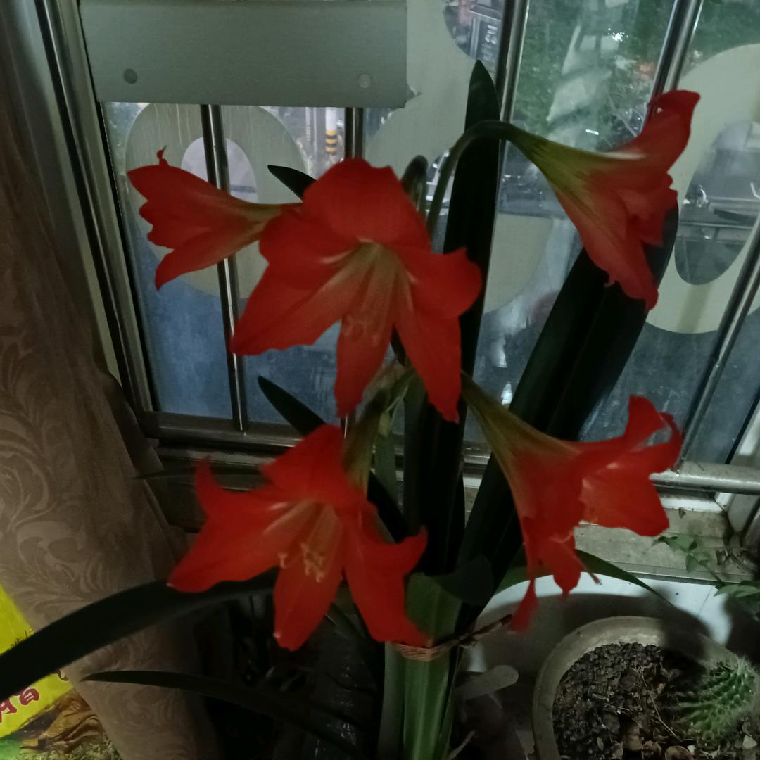 永盛精品杂粮