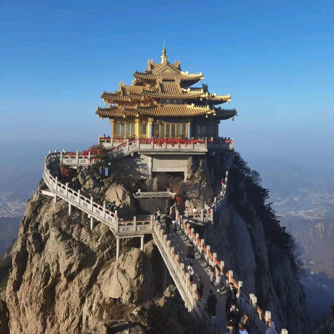 辛愿（淘悦电子商务）