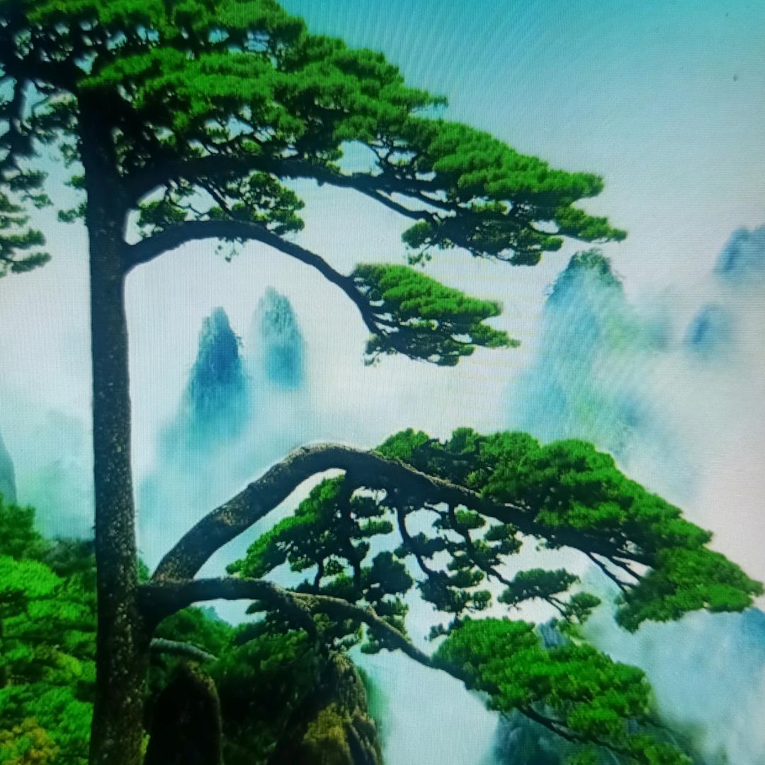 戒烟戒酒不戒你