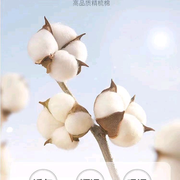 高原