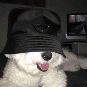 ￴￴￴󠀀￴￴￴󠀀