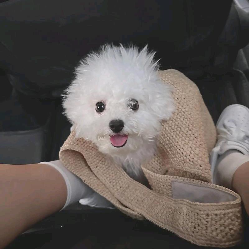 哈哈福