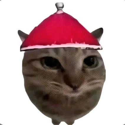 小李 石家庄家教1-1