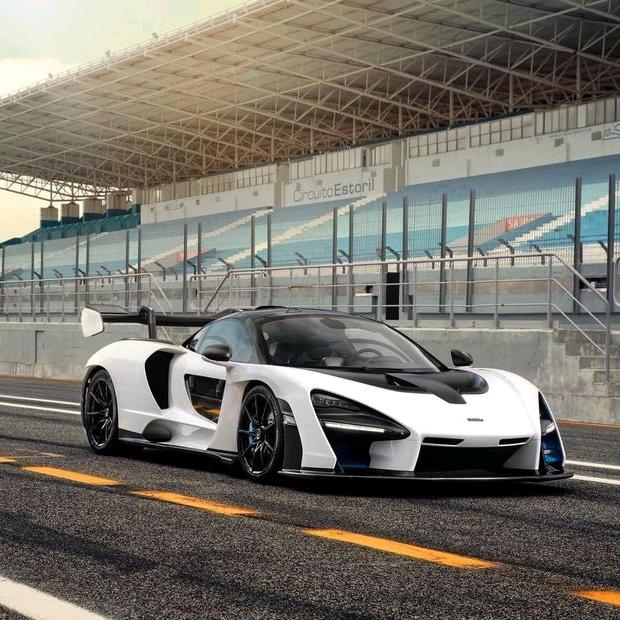 Senna_