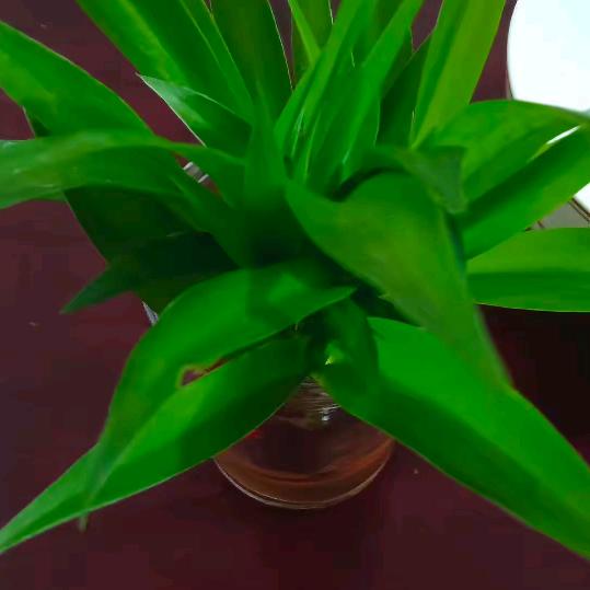 顺其自然