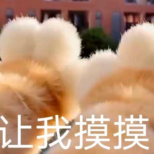 -沐沐