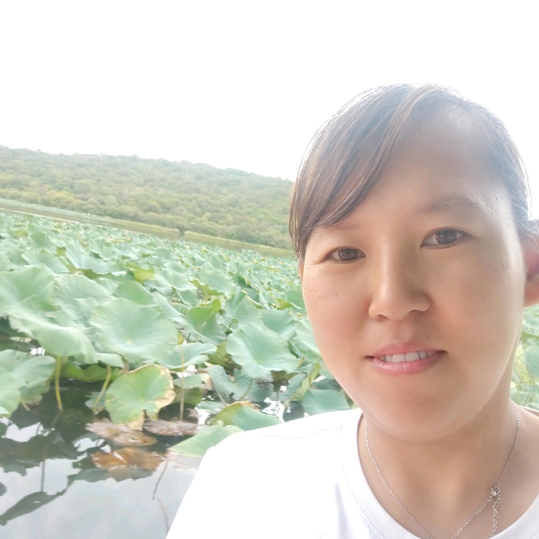 清荷之边境之旅