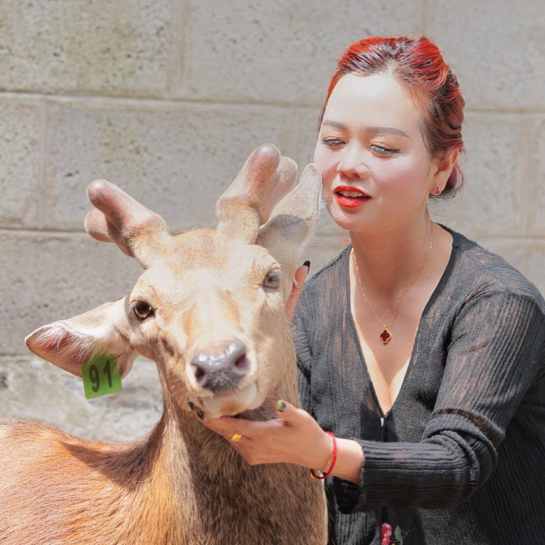 鹿~西施$燕儿^0^