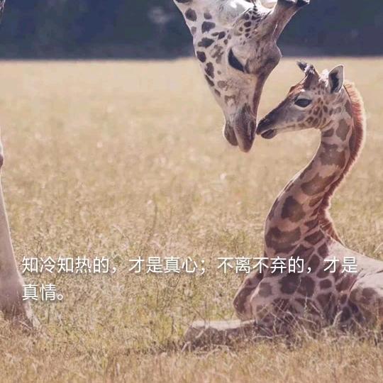 shunxinshunyi❤