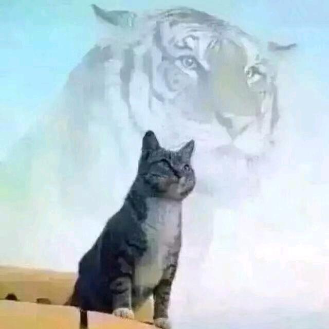 快消品综合老炮-达哥