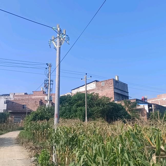 工地才哥