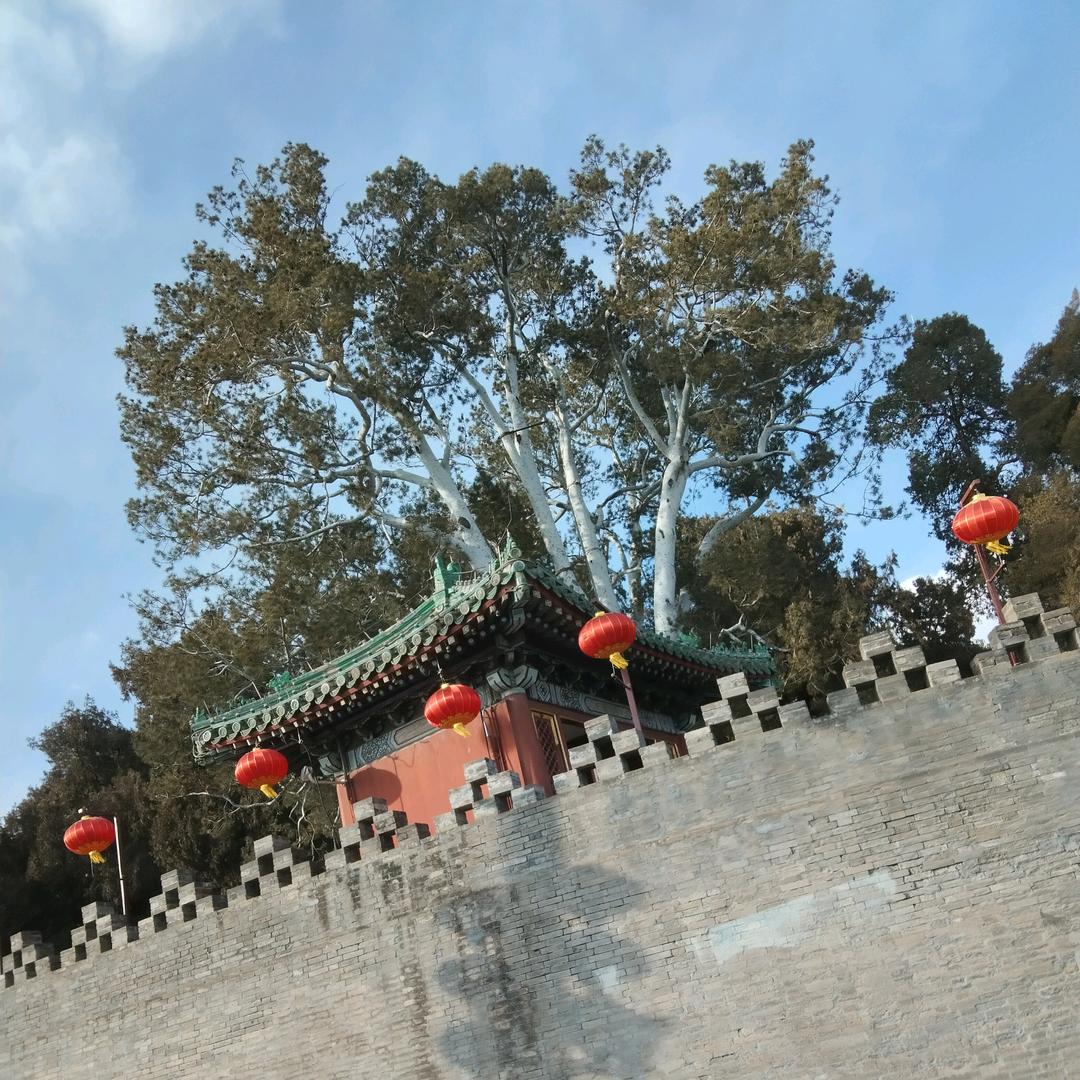 @麦穗姐（助力新人涨粉一千万）