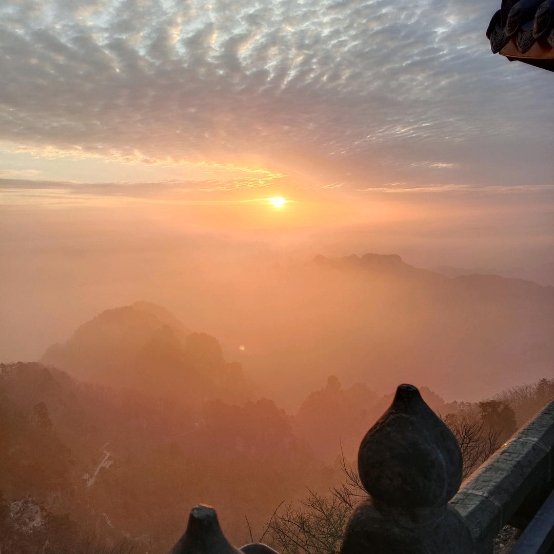 显俊
