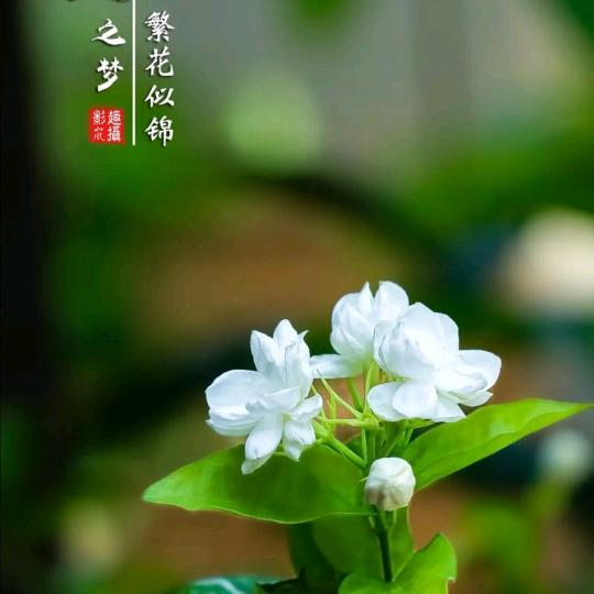 随缘