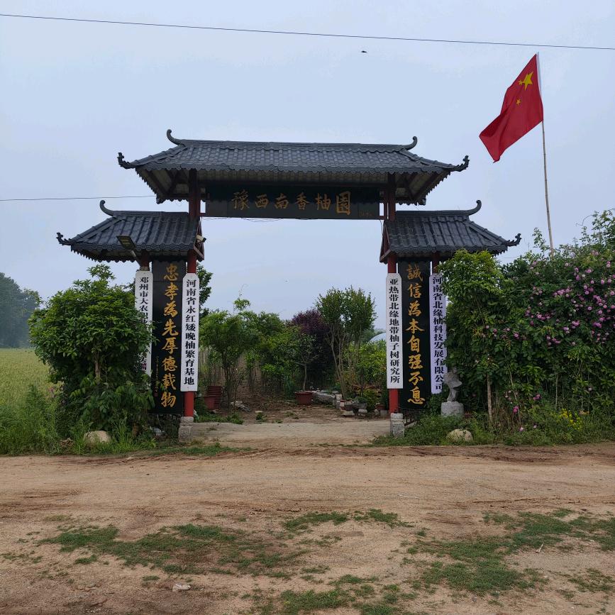 豫西南香柚园