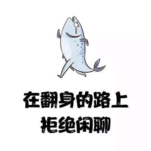 ᥫᬊ🐒₁₉⁹²孫℘࿐ᩚ