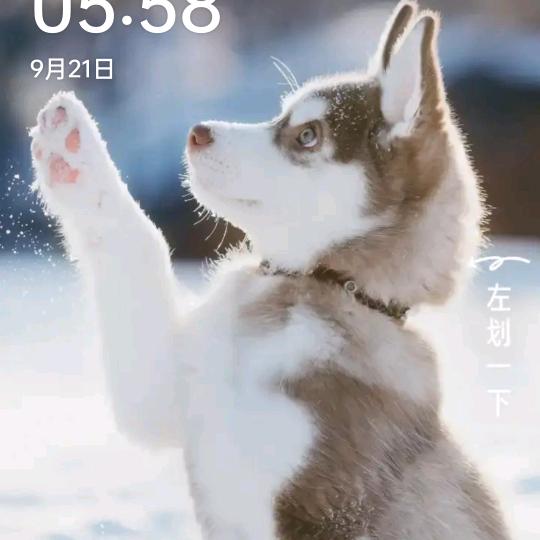 筱七