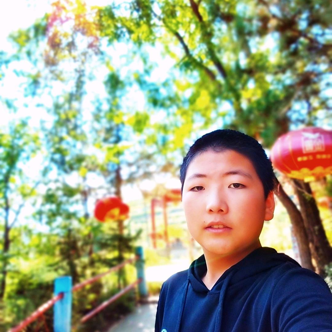 岷县十里当归党参黄芪种植