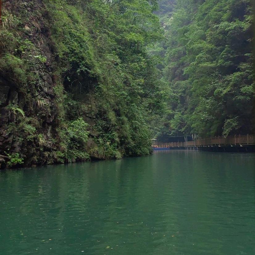 曾经风雨（江哥）