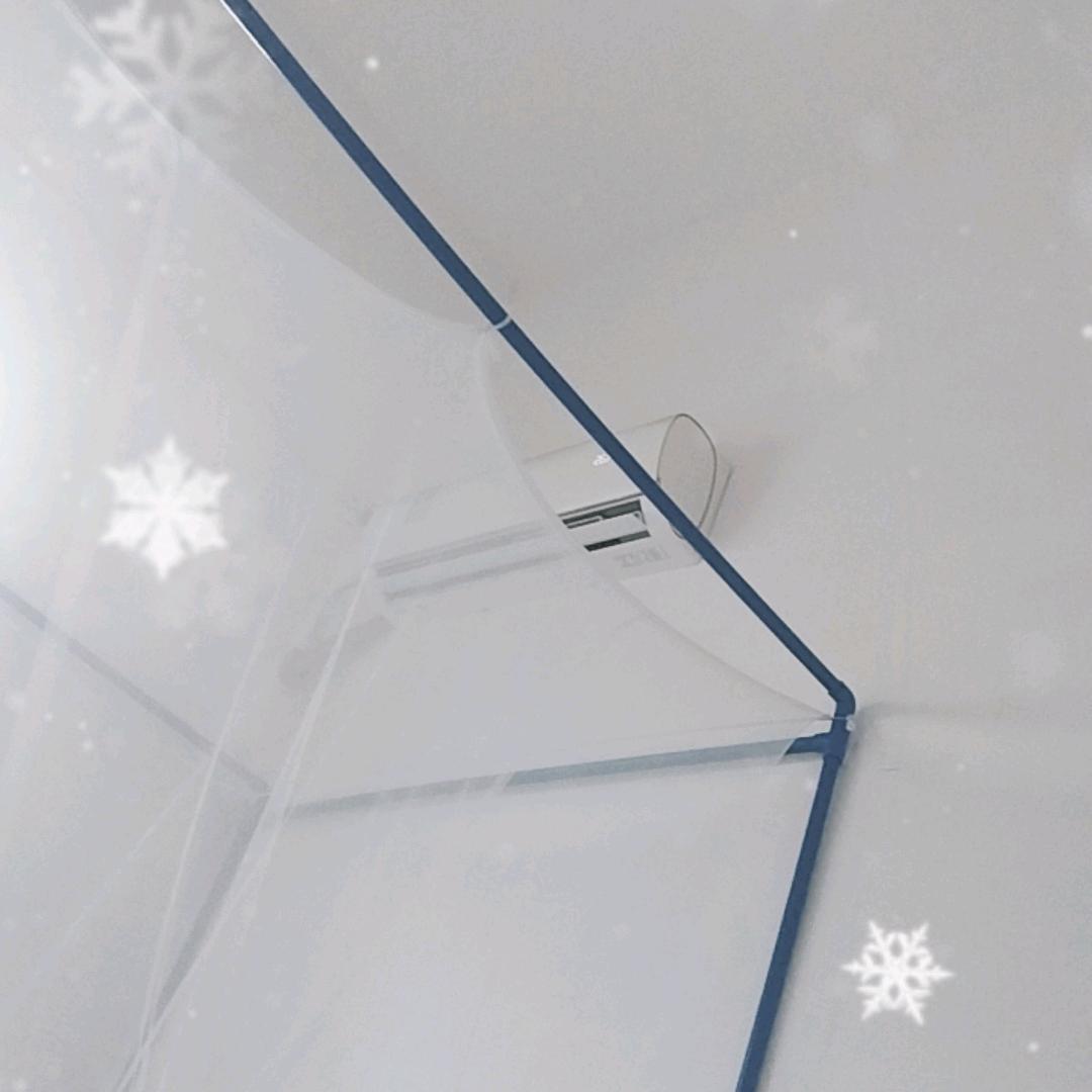 清可惜、清晰祺