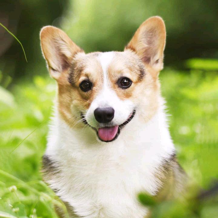 小徐宝宝溜苏州