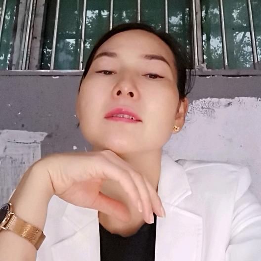 远航的大雁头像