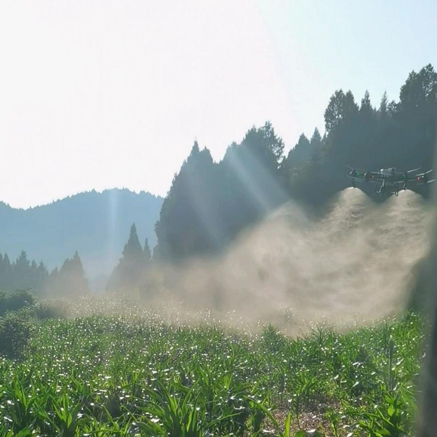 虎哥飞防