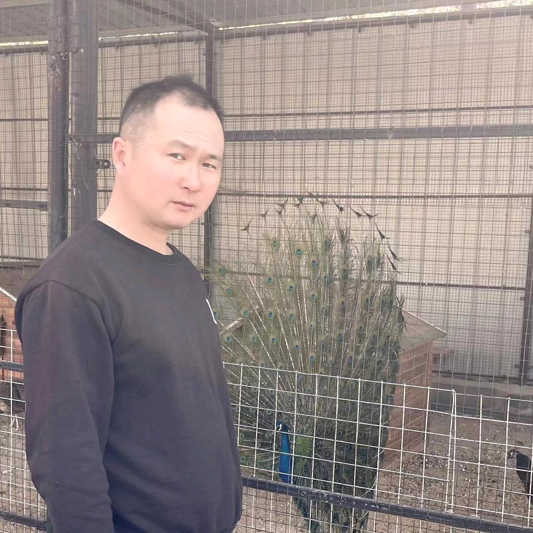 小飞哥