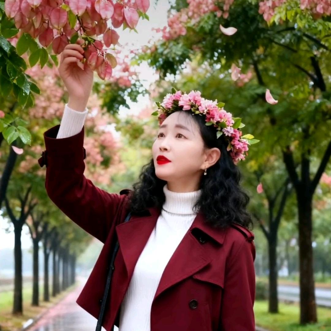 🌹花开🌹花落🌹