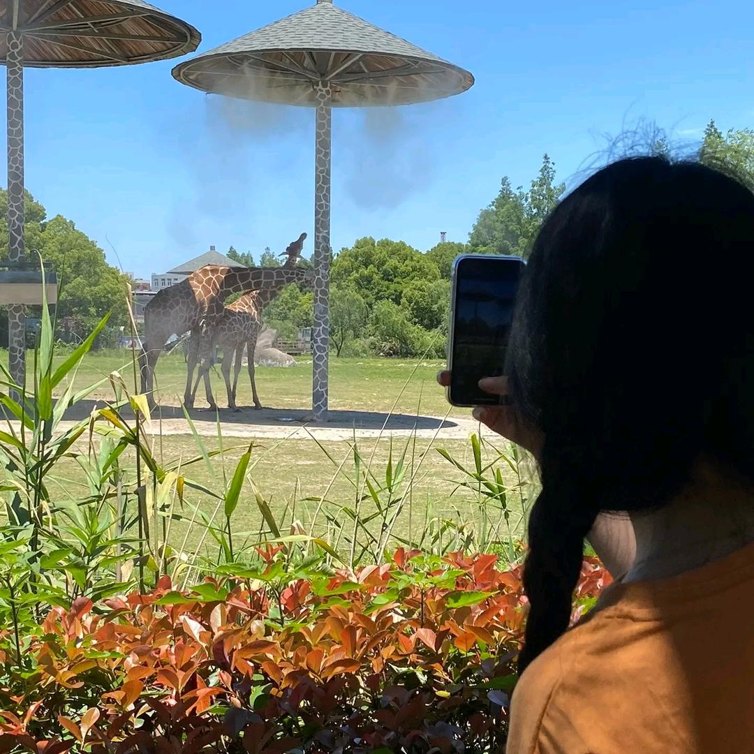 钱多多💰美食分享