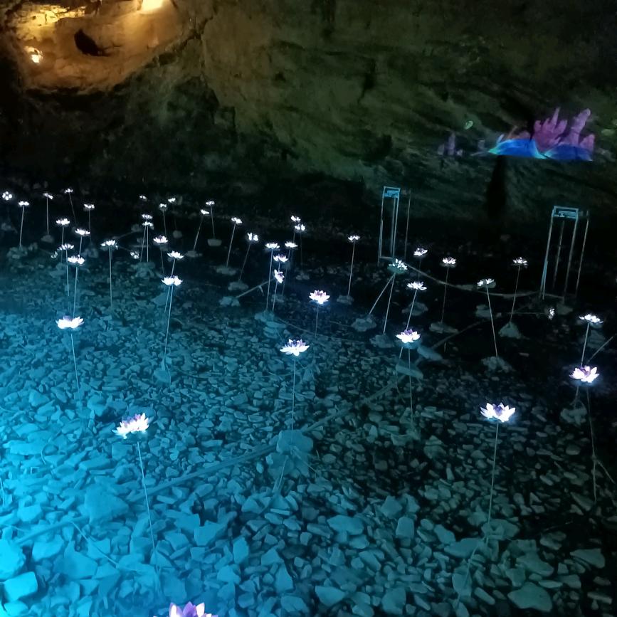 过去的成为回忆，不再想起