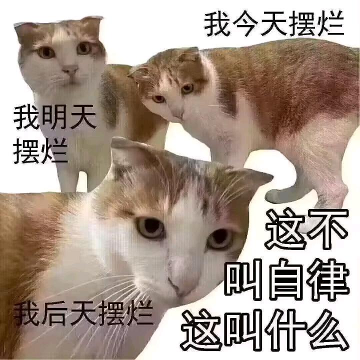 小袄袄